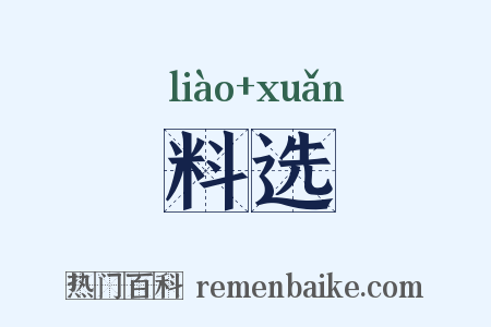 料选是什么意思的图片